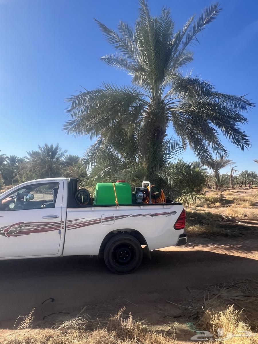 Spraying palm trees with all types of pesticides64360114929027111