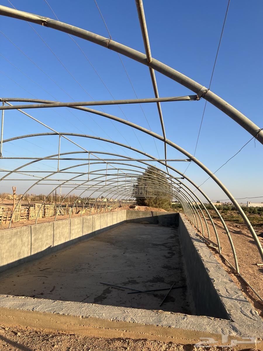 بيت محمي فك وتركيب الطول 35 العرض964370081154818110