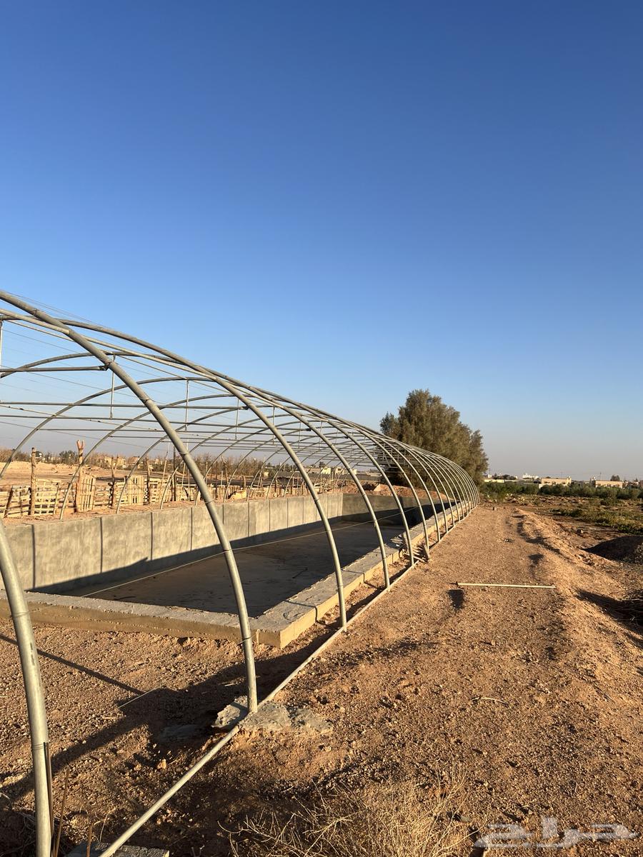 بيت محمي فك وتركيب الطول 35 العرض964370081154818111