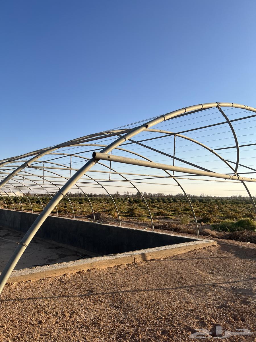 بيت محمي فك وتركيب الطول 35 العرض964370081154818114