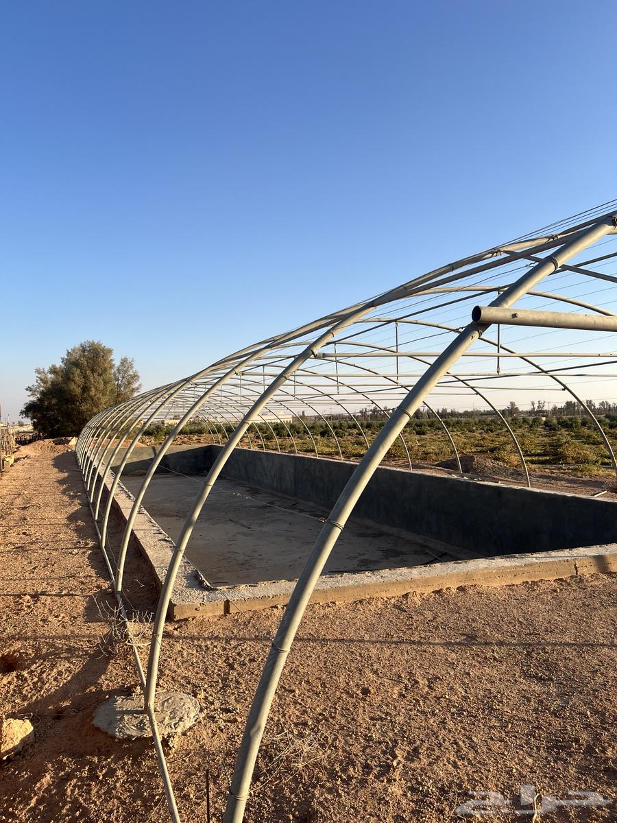 بيت محمي فك وتركيب الطول 35 العرض964370081154818113