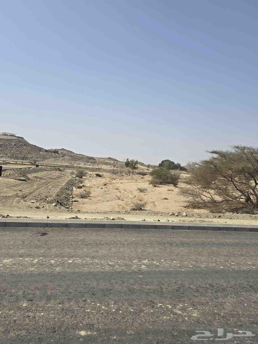 أرض للبيع مخطط شهداء الوطن الشبيكة الجديد64360130871553113