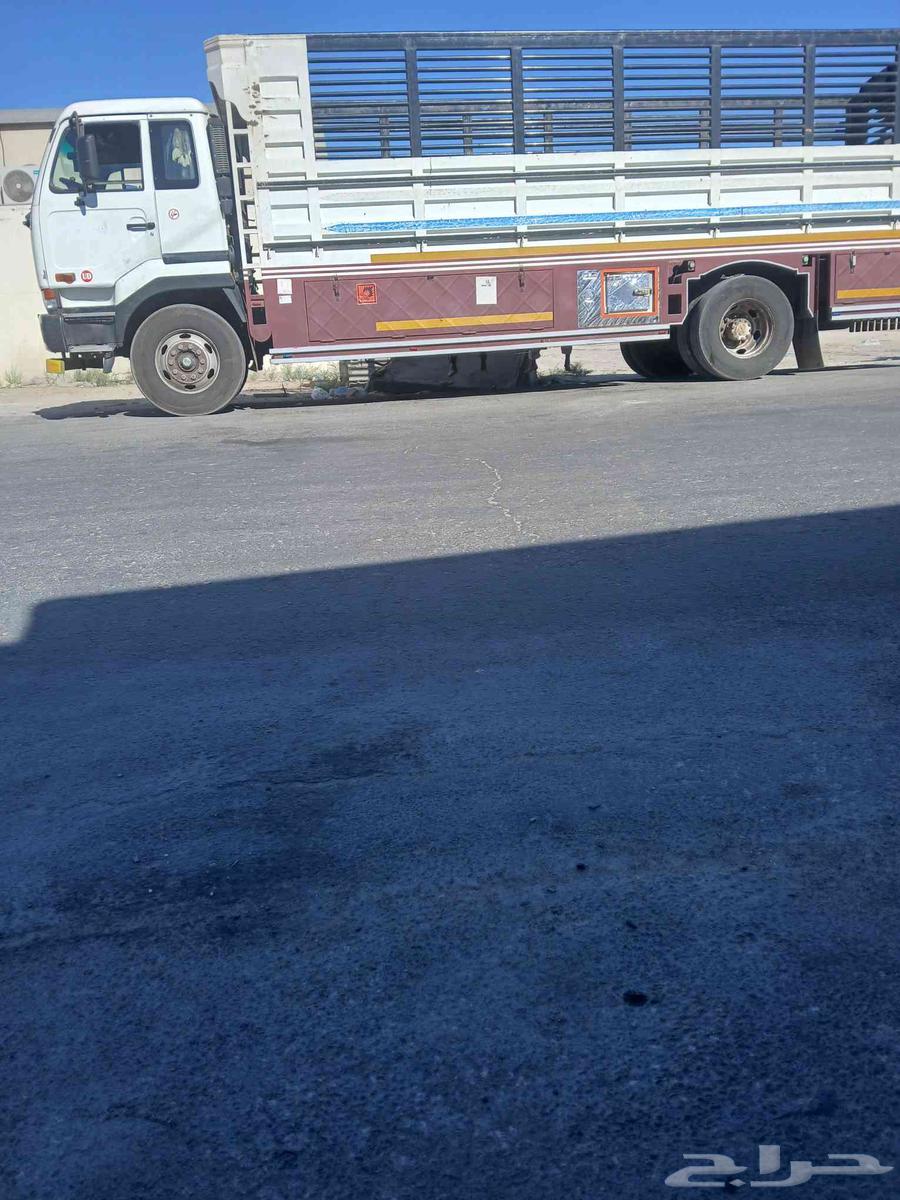 دينا نقل من الدمام64360149405315110