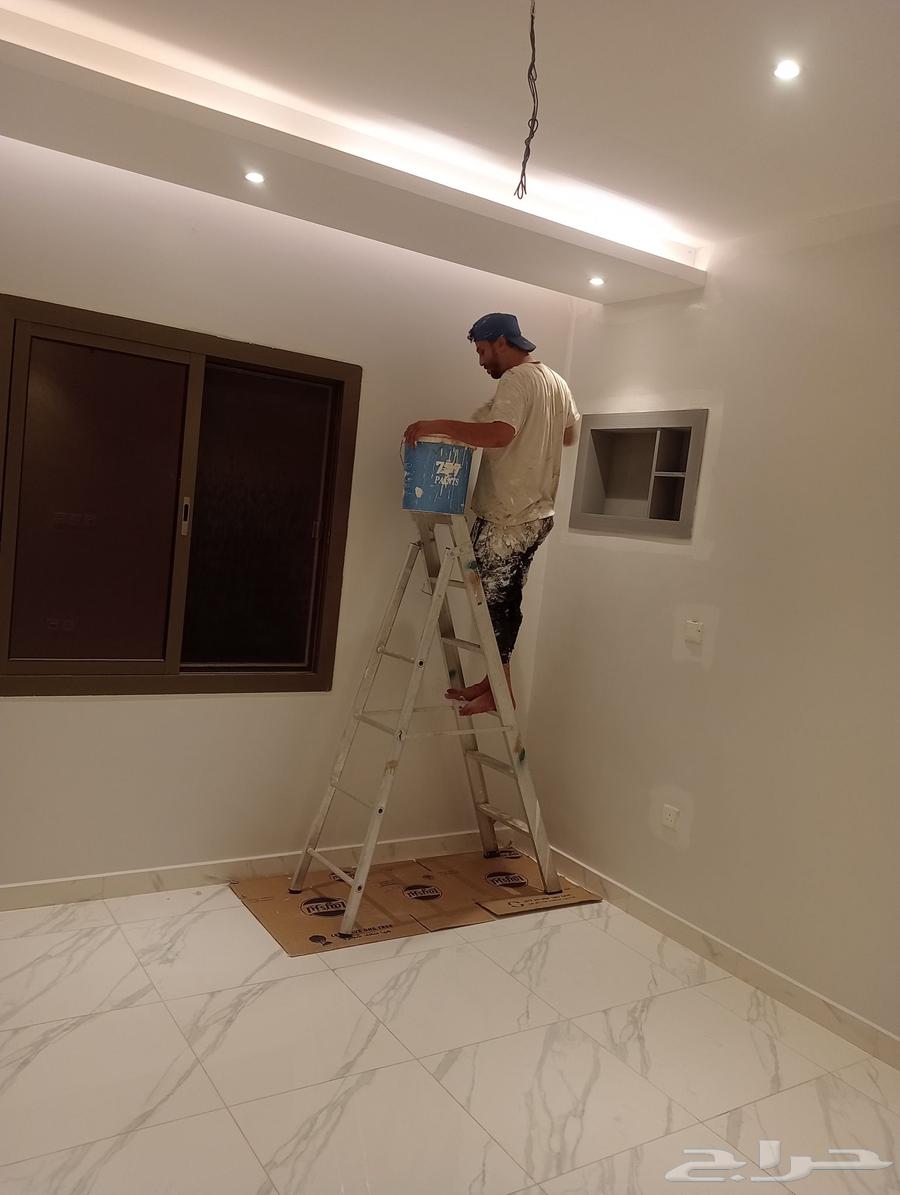 Jeddah Paint, High-Quality Paint, Jeddah Painter, All Types of Paints64360231368963112