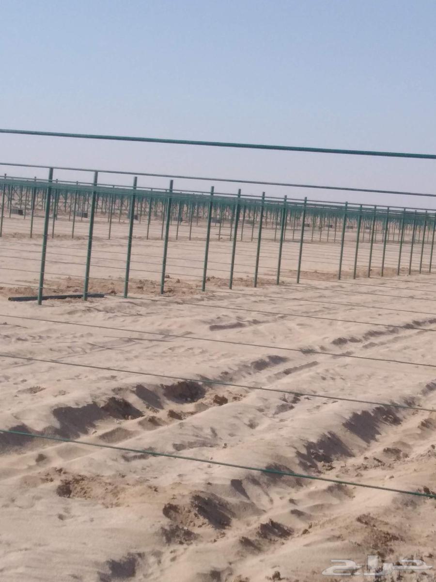 مقاول شبك وهناجر شبوك ملاعب اسياج مشاريع دعايه وعلان بنر64360200097281110