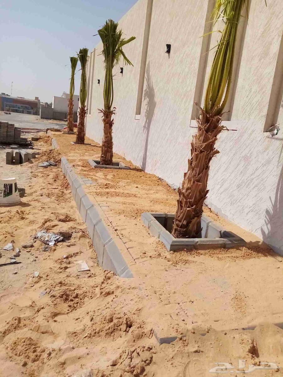 أبو ريتاج الصعيدي لأعمال البلدوره والانترلوك64360166286081114