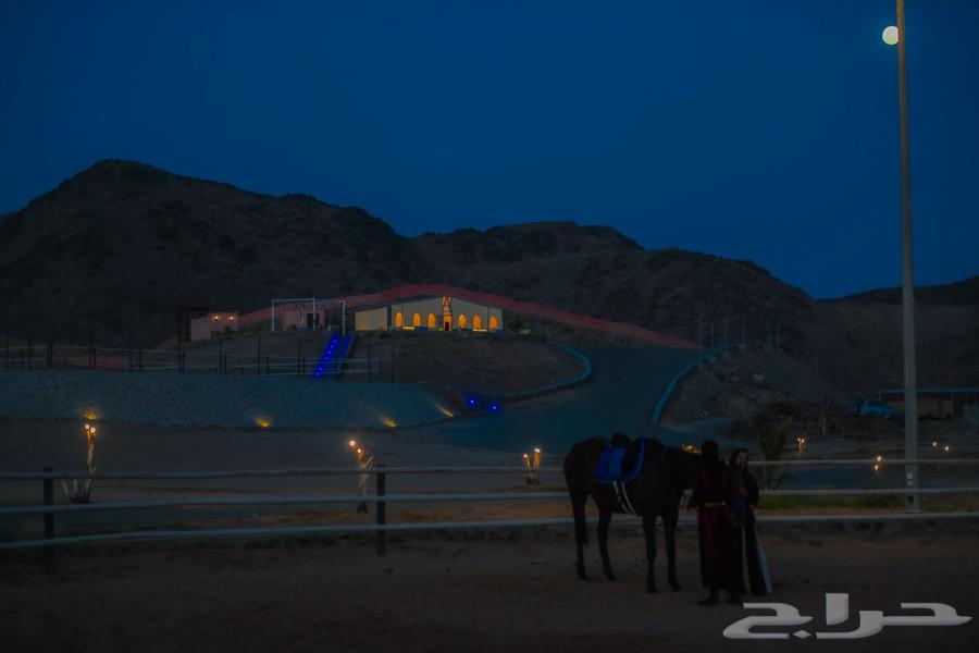 مربط أميراس لإيواء الخيل64369805769729113