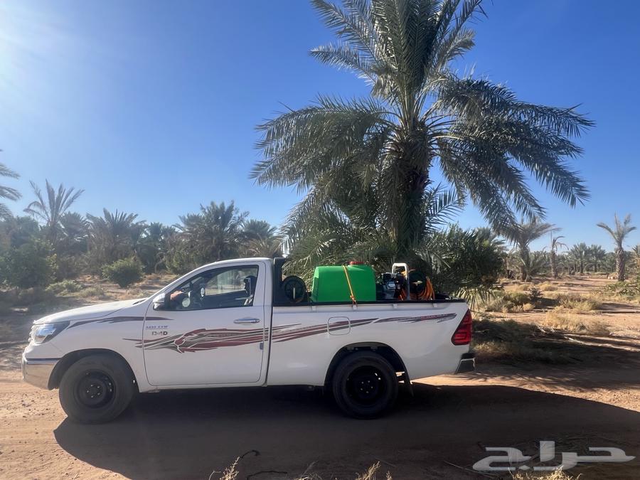 Spraying palm trees with all types of pesticides64360114929027110