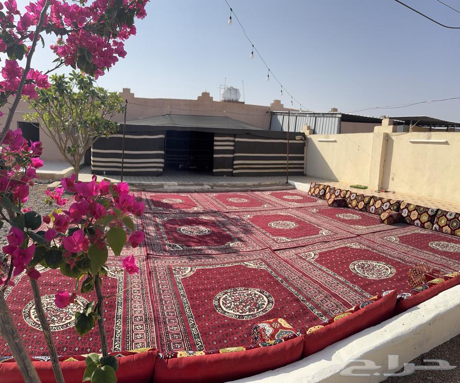 Rest area for daily, weekly, monthly rent64360148008834114