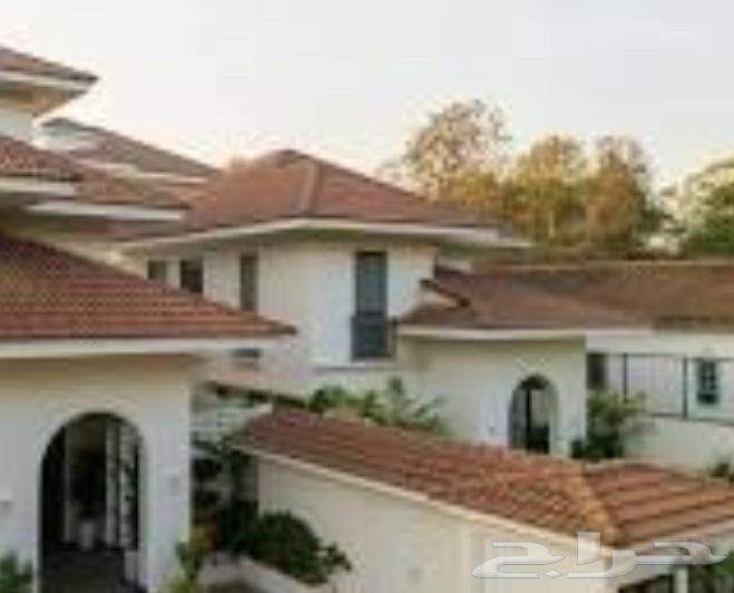 مطلوب دور وثلاث شقق64360097932930110