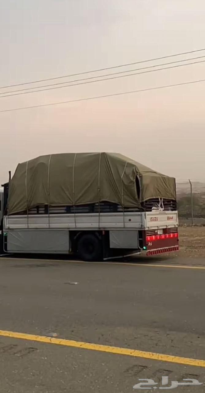 دنا توصيل دينا نقل وتوصيل القصيم64360132684801111