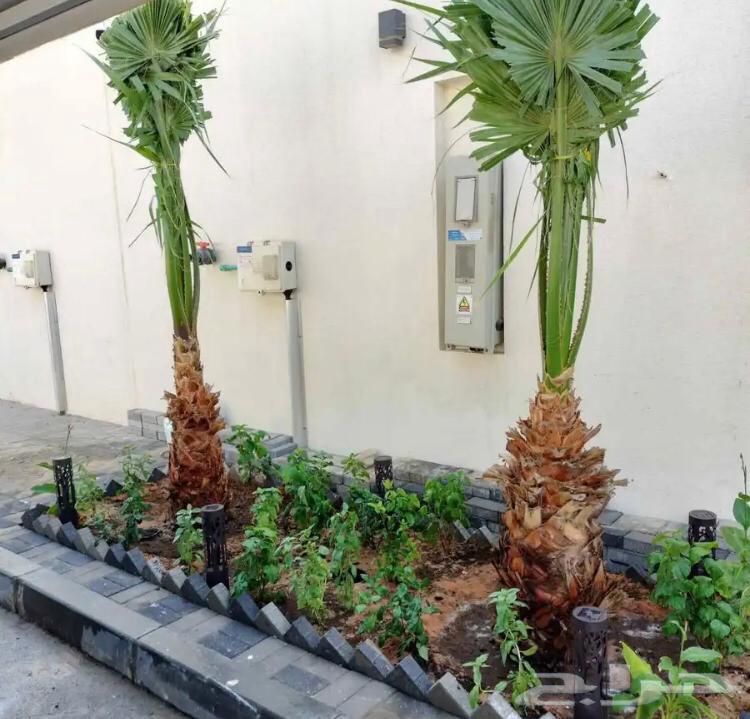 Zahra Al-Rif Nursery Garden Landscape and Irrigation Networks64370097976707113