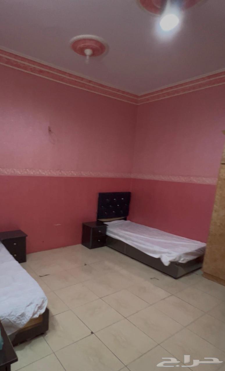 شقة للإيجار