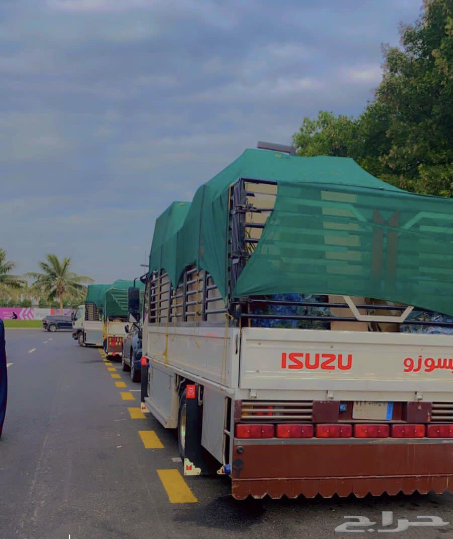 Dina in the courtyard and outside it64402969175553110