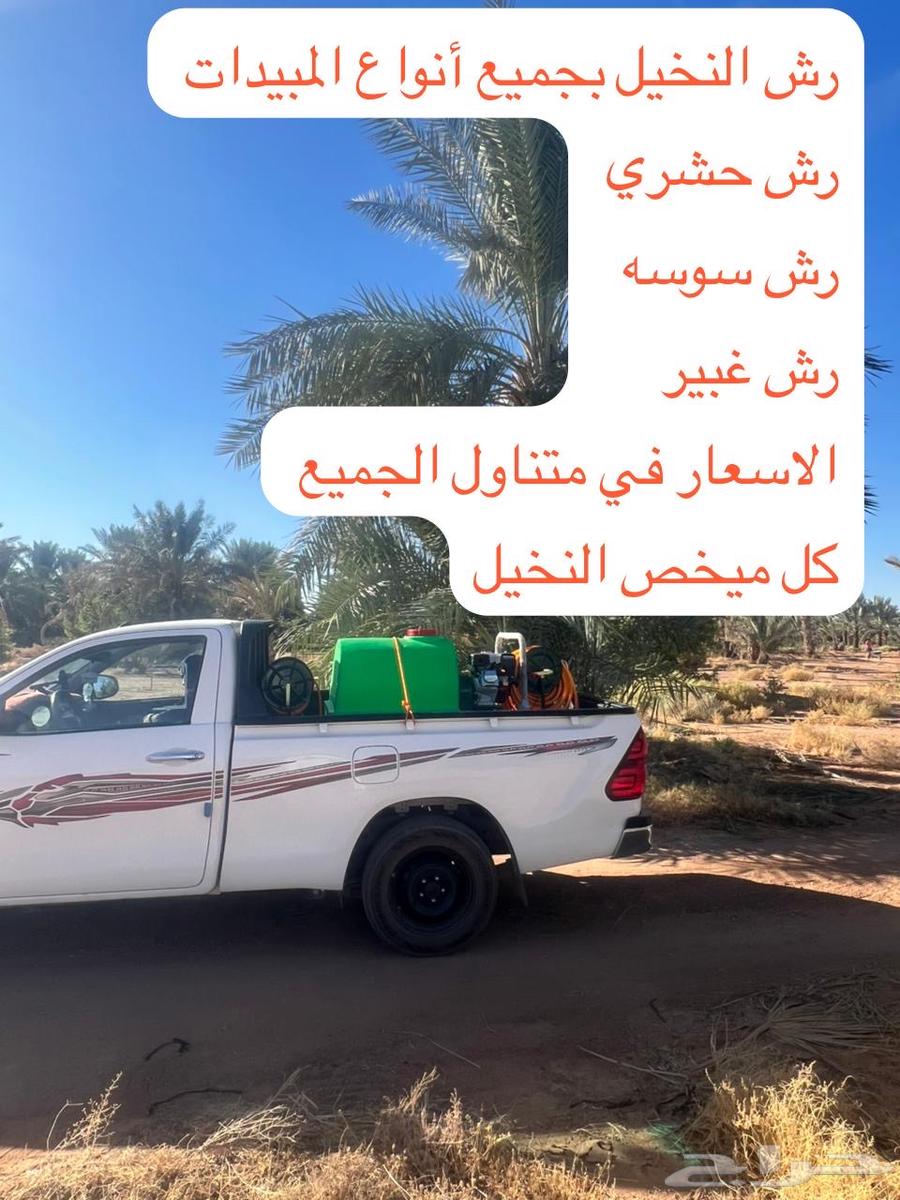 Spraying palm trees with all types of pesticides64360114929027112