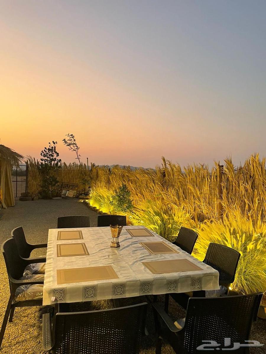 مخيم إيفا للإيجار اليومي جدة خط بريمان64370062864771112