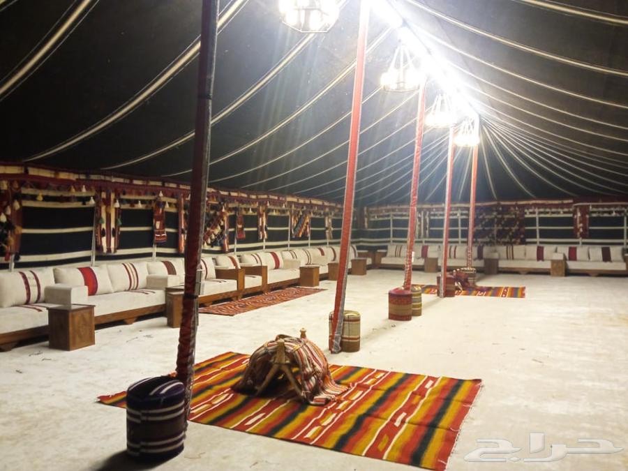 Desert camp setup, traditional tent installation, royal tent assembly and draping64380041325699113