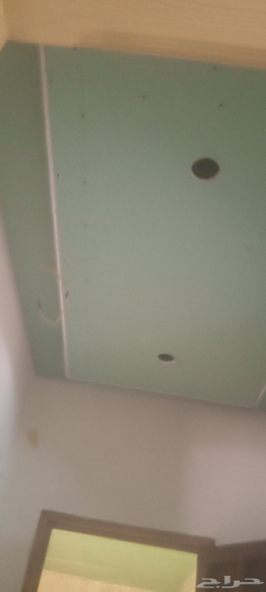 Gypsum Board Plasterer Master, Hand Plastering, Ceiling Drop, Mobile Number64370262995329111