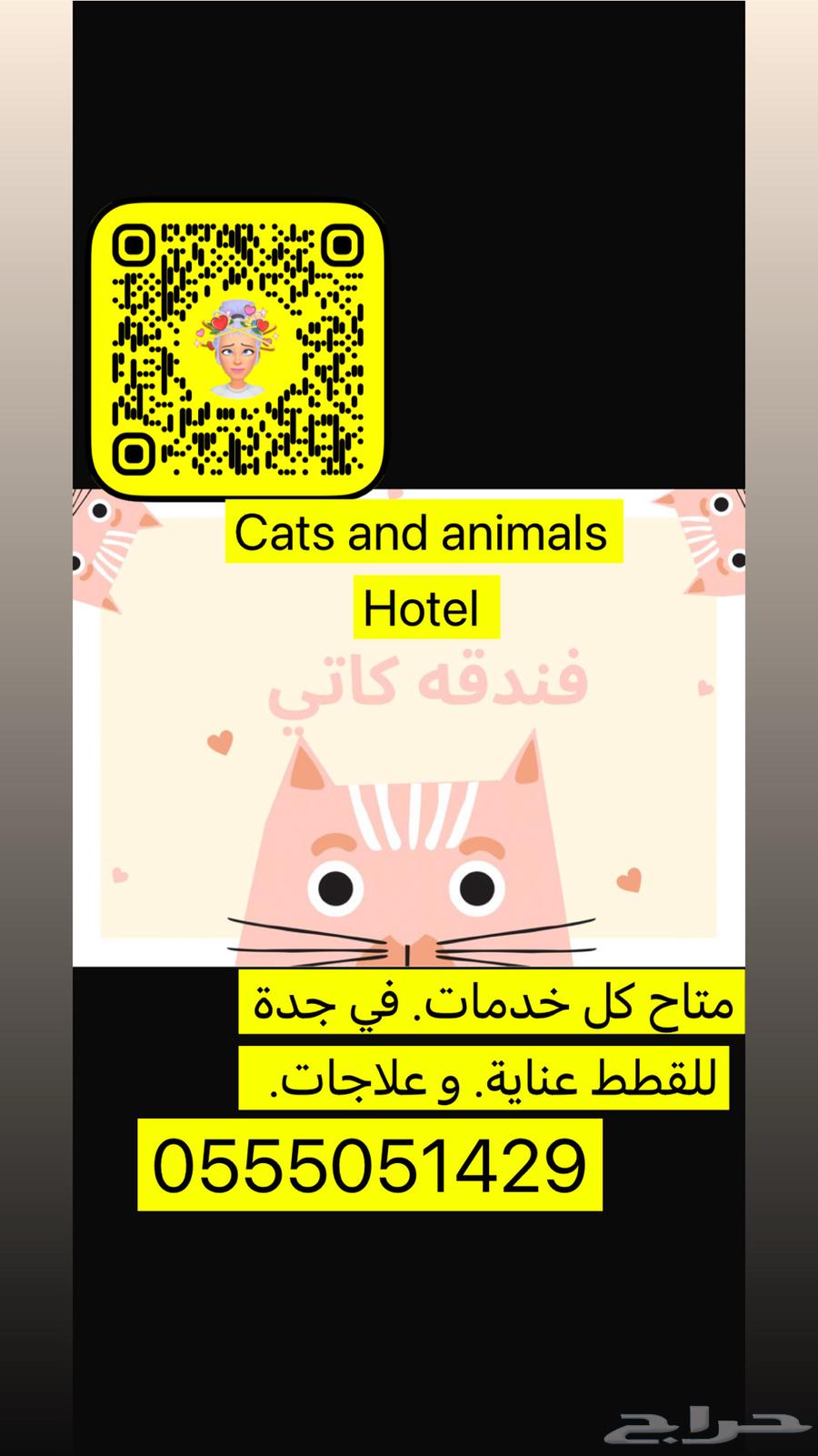 اوتيل قطط و طيور. جميعهم64379838436609110