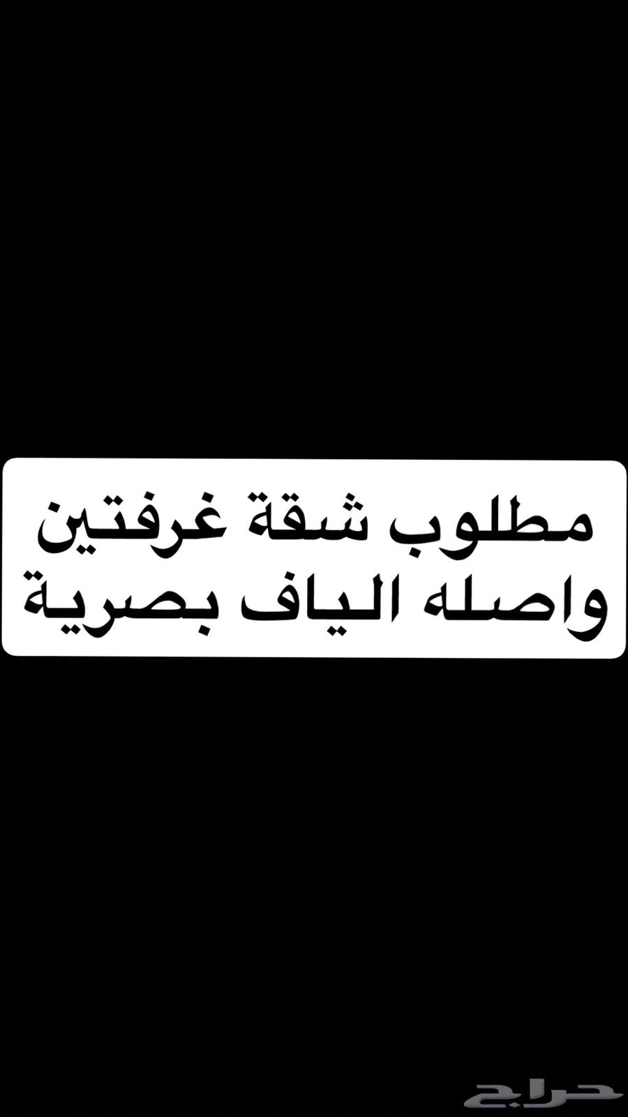 Apartment with two rooms, a living room, closed kitchen, bathroom, and fiber optic connection required64370096070913110