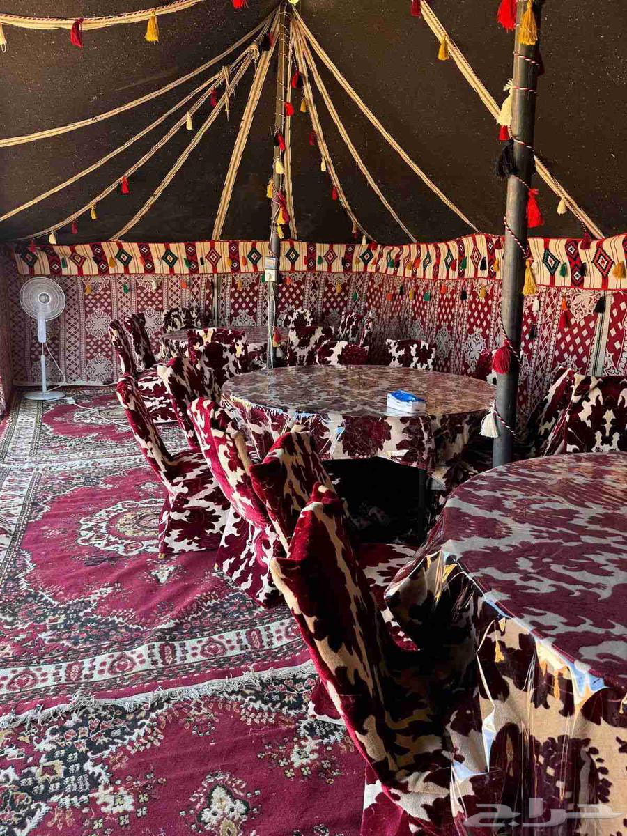 اعمال متميزه. تركيب مخيمات وبيوت شعر ثابته ومتحركه64379838075651110