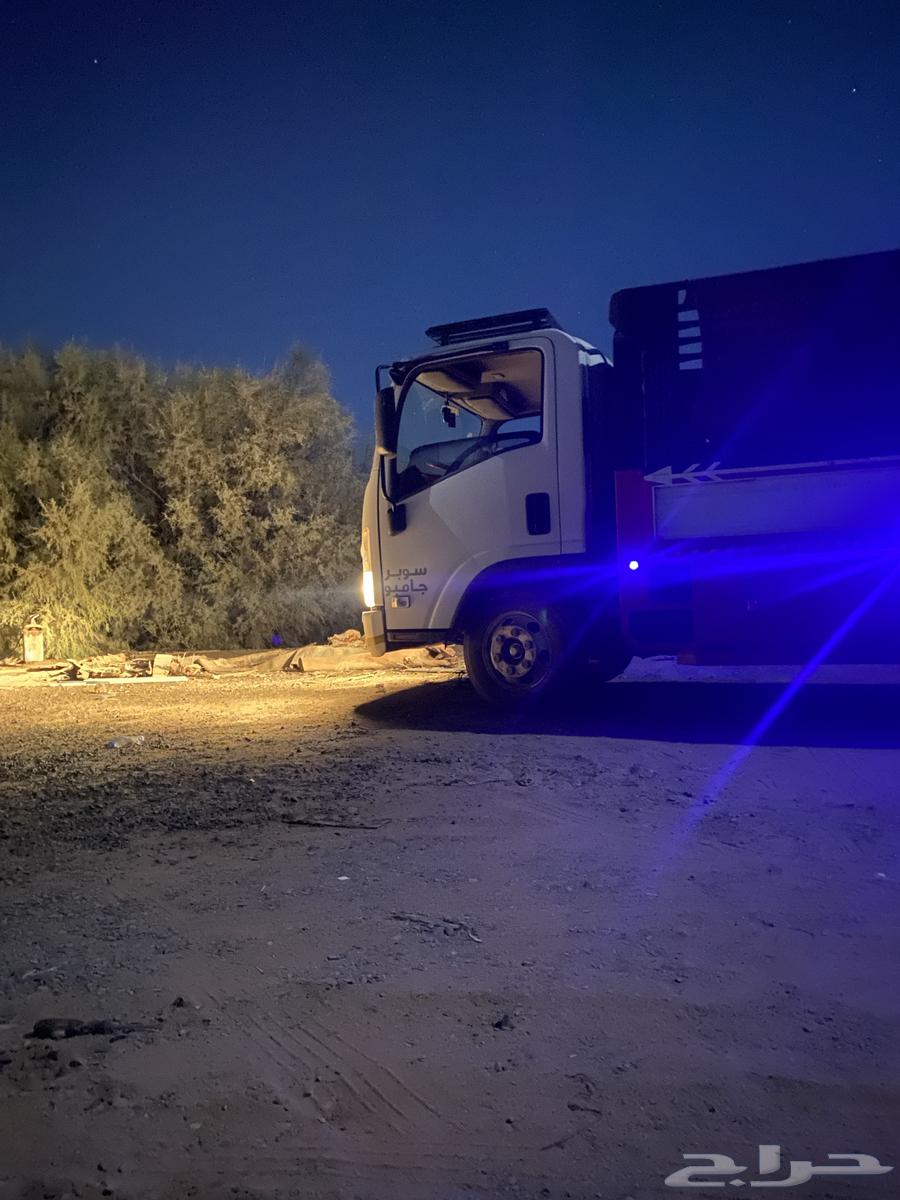 دينه إلى الهجن64380073857155111