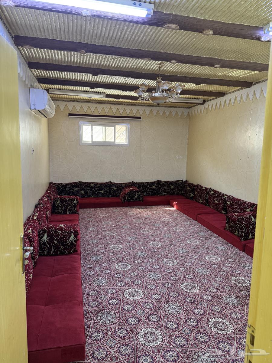 شقة للإيجار