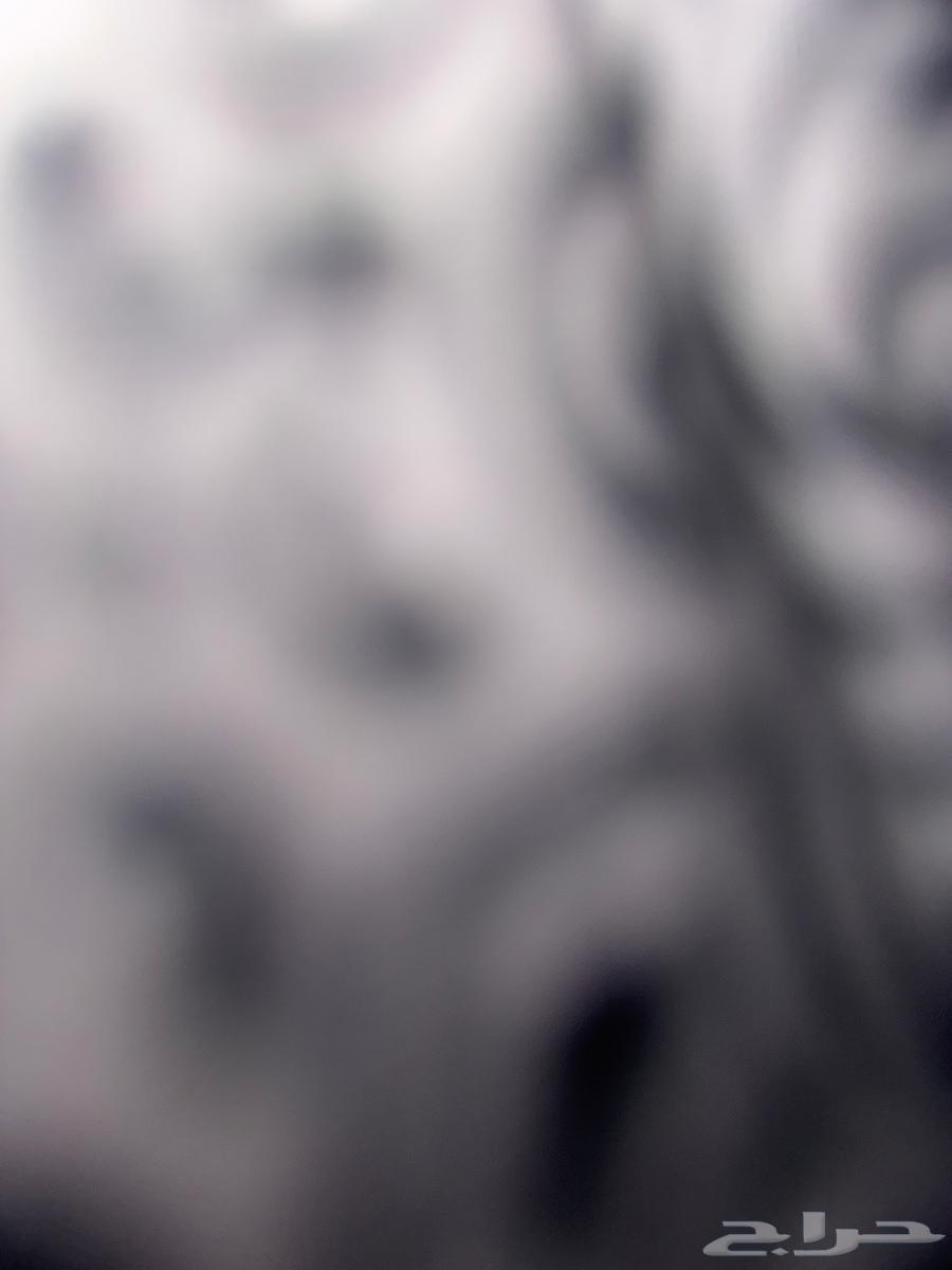 مطلوب شقه صغيره عزاب او عوائل64370079353601110