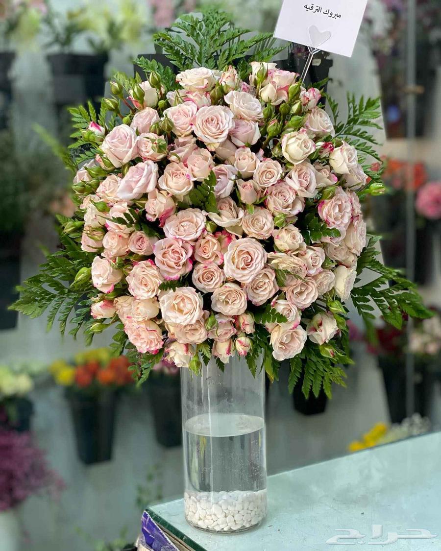 هدايا ورد خميس مشيط ابهاء64380074366083110