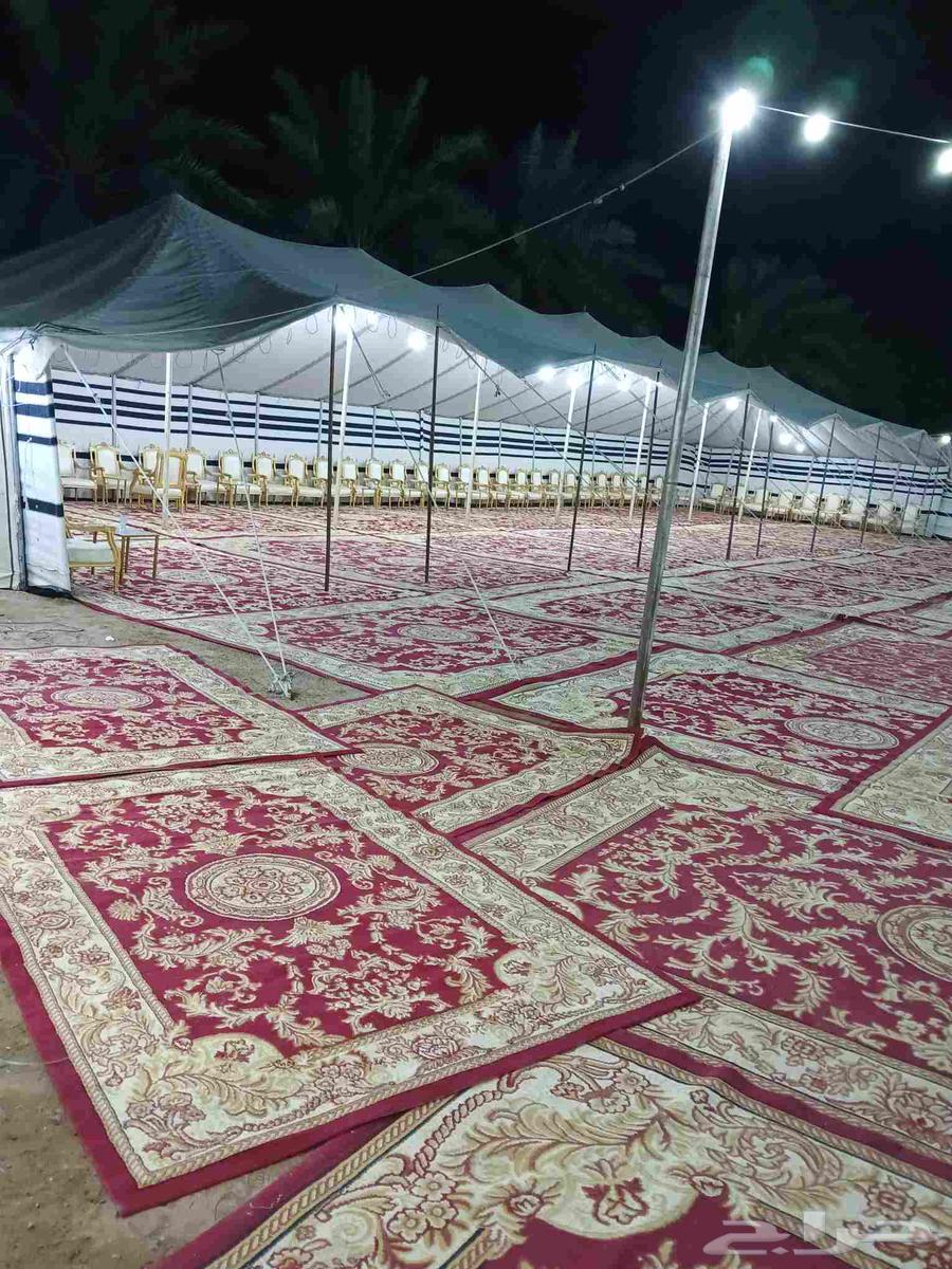 اجار خيام وبيوت شعر ودفيات وطولات طعام وكراسي ملكي64380041403522114