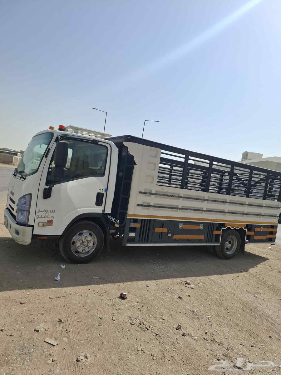 دينا في الرياض والسفر خارج الرياض طوال 5 متر كل الاورق سليمه64379907360515113