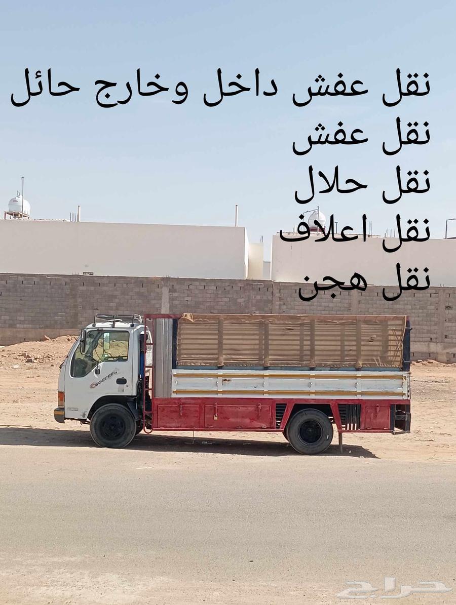 دينا مشاوير داخل حائل وخارجها64379908150787110