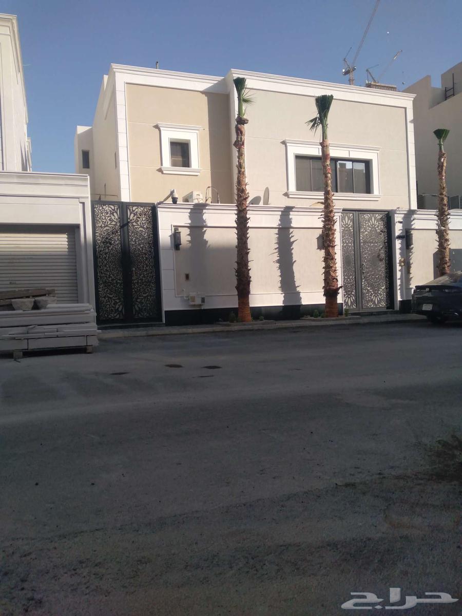 توريد وزراعه نخل واشنطن زينه64380058239361114