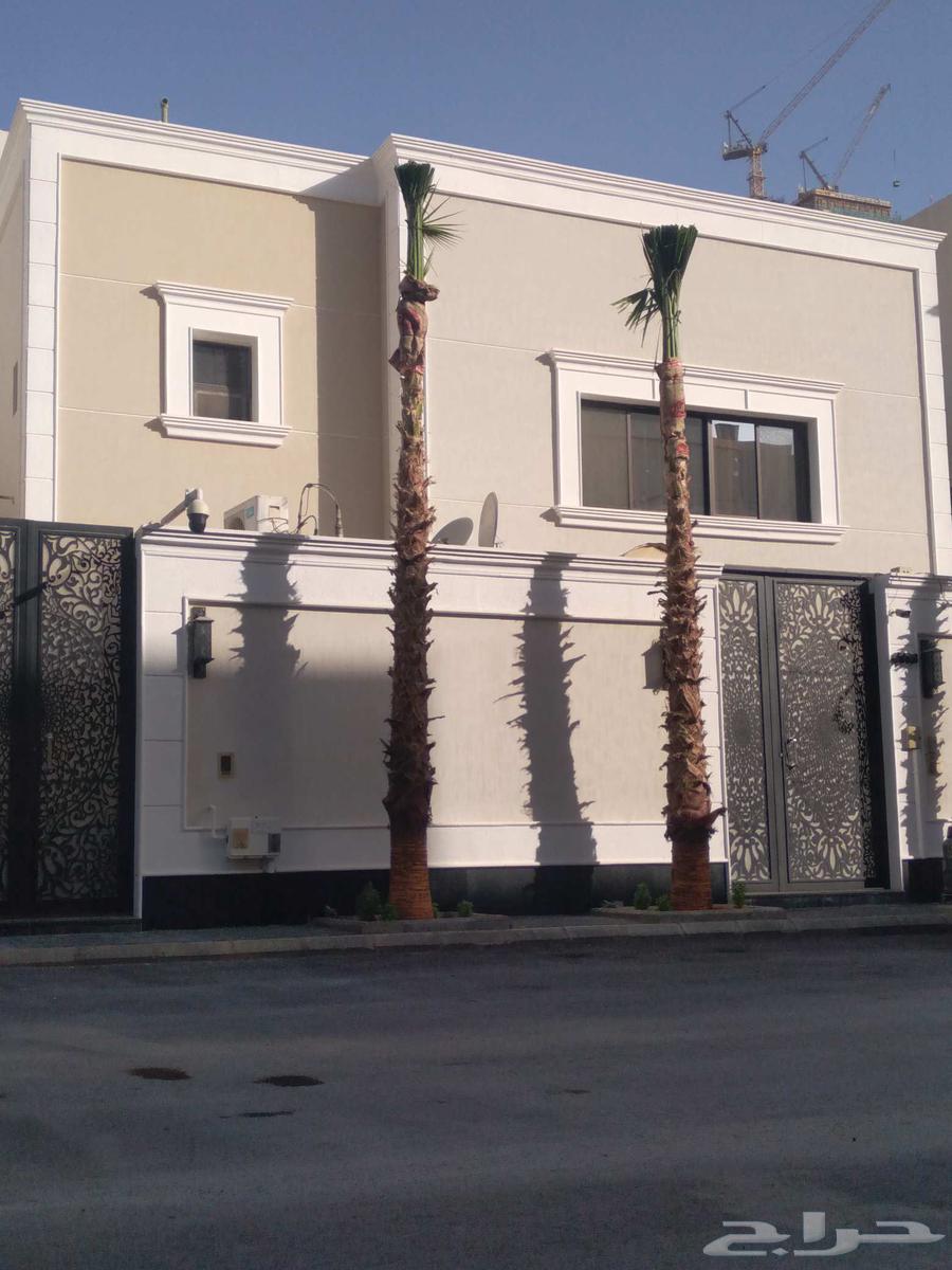 توريد وزراعه نخل واشنطن زينه64380058239361113