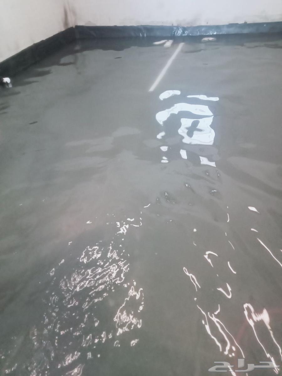 عوازل المدينه المنوره64379838618371113