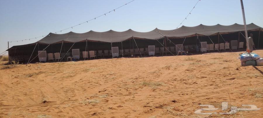 ايجار خيام وبيوت شعر تركيب مخيمات اي مكان اتصل نصل64379838414721113