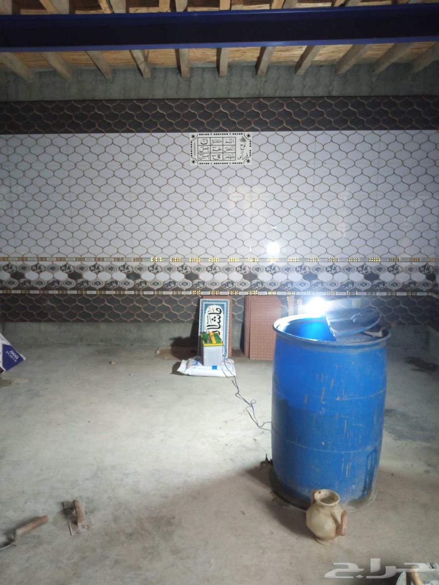 مبلط بلاط باكستاني ممتاز وامين وحريص بجميعل اععالذ64379941477123111