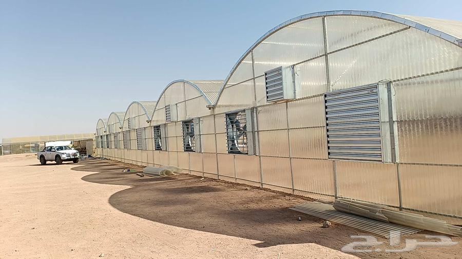 Engineer for installing greenhouse houses and halls of all types with reasonable prices64380058056323113