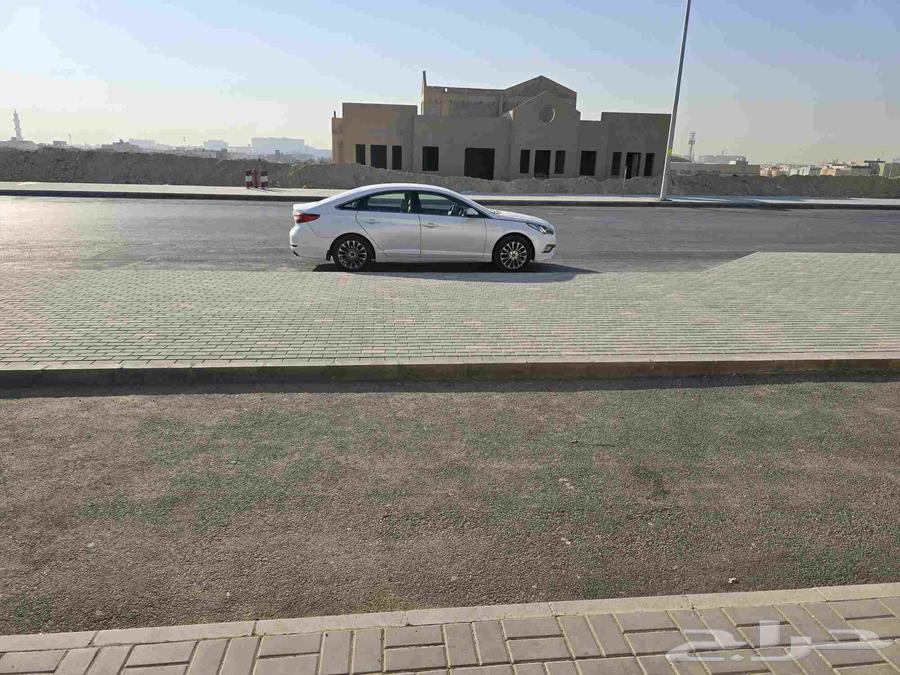 Private tutoring and errands service. Educational development at home and WhatsApp.64370263873921111