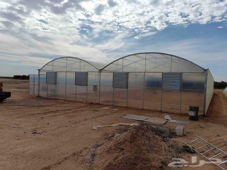 Engineer for installing greenhouse houses and halls of all types with reasonable prices64380058056323110