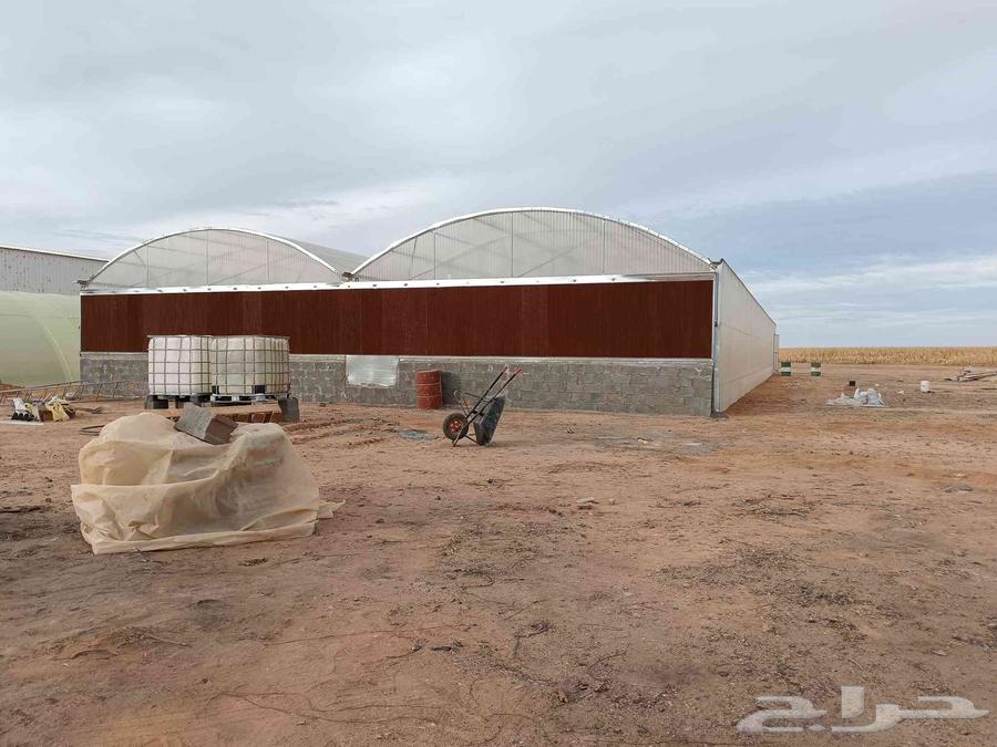 Engineer for installing greenhouse houses and halls of all types with reasonable prices64380058056323111