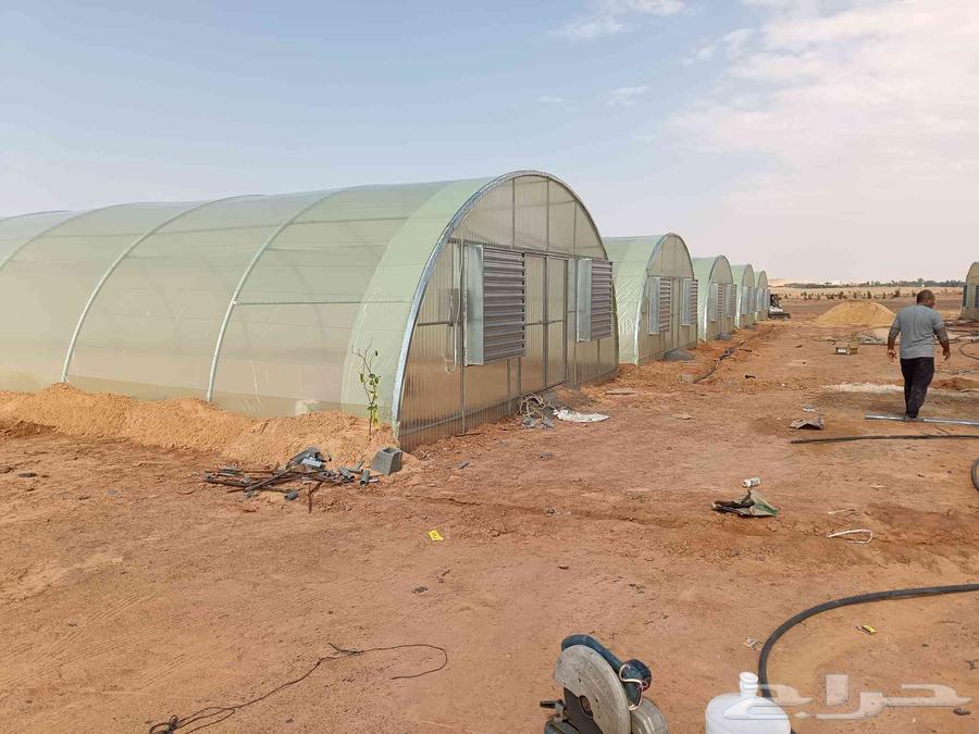 Engineer for installing greenhouse houses and halls of all types with reasonable prices64380058056323112