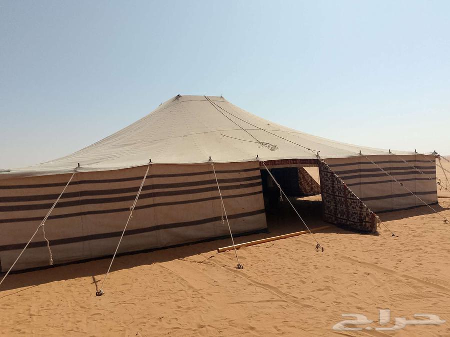 Campsite setups, electricity, and plumbing of all types64380006664833114