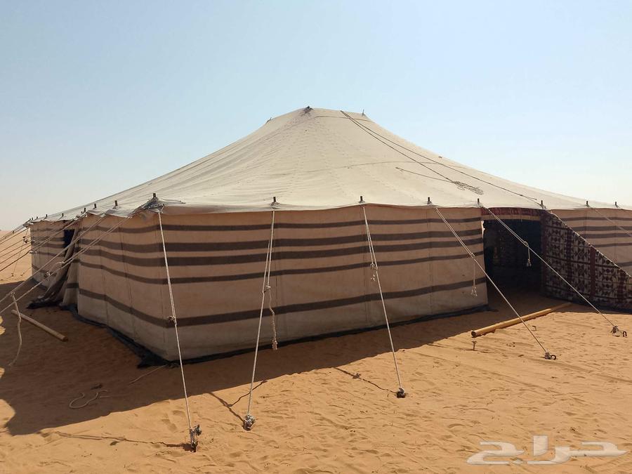 Campsite setups, electricity, and plumbing of all types64380006664833113