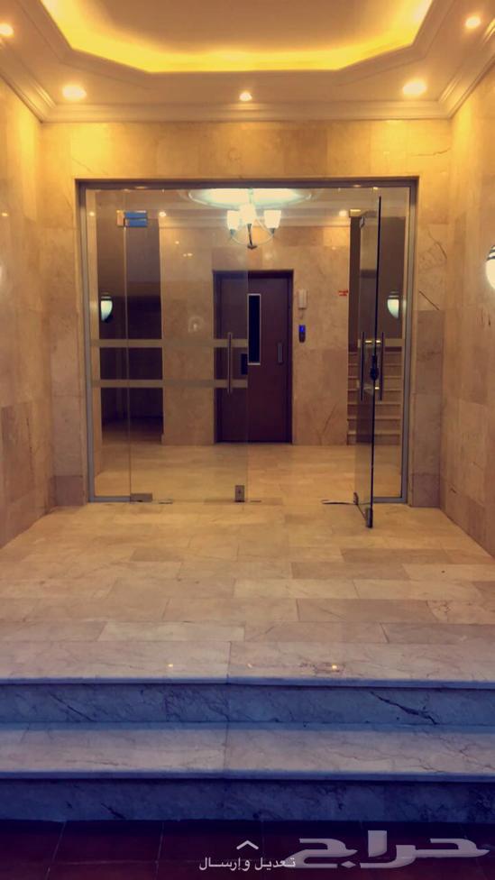 شقة للإيجار