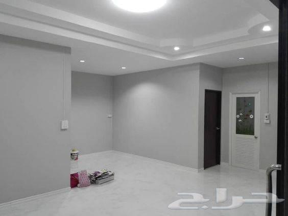 معلم بويا وورق جدران64380057544450111