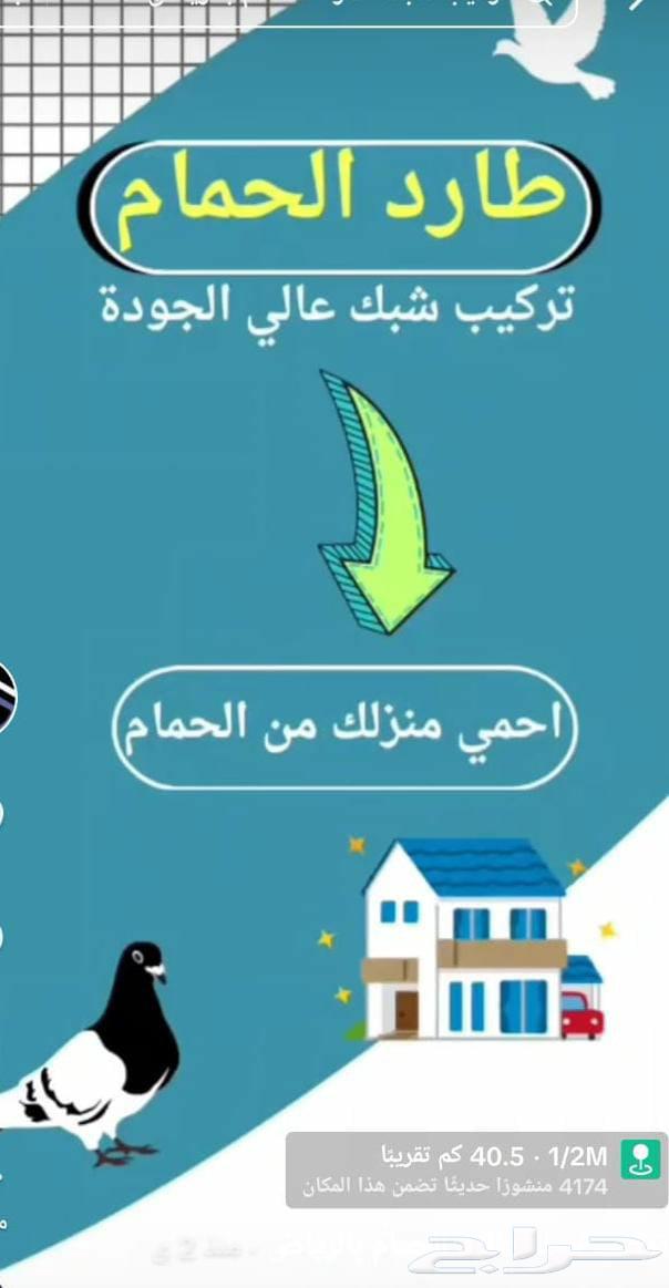 Krzma Company for Pigeon Repellent Installation, 24-Hour Service and Excellent Prices64370262848897110