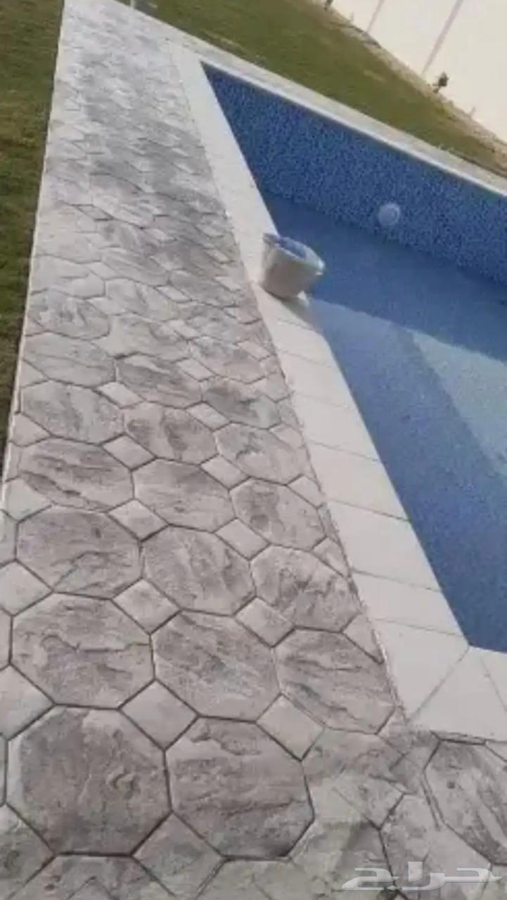 تمام قسم  ي  ن ري  خدمات فرا م  رت   ي مار   اس اي  ما ر64379941538818112