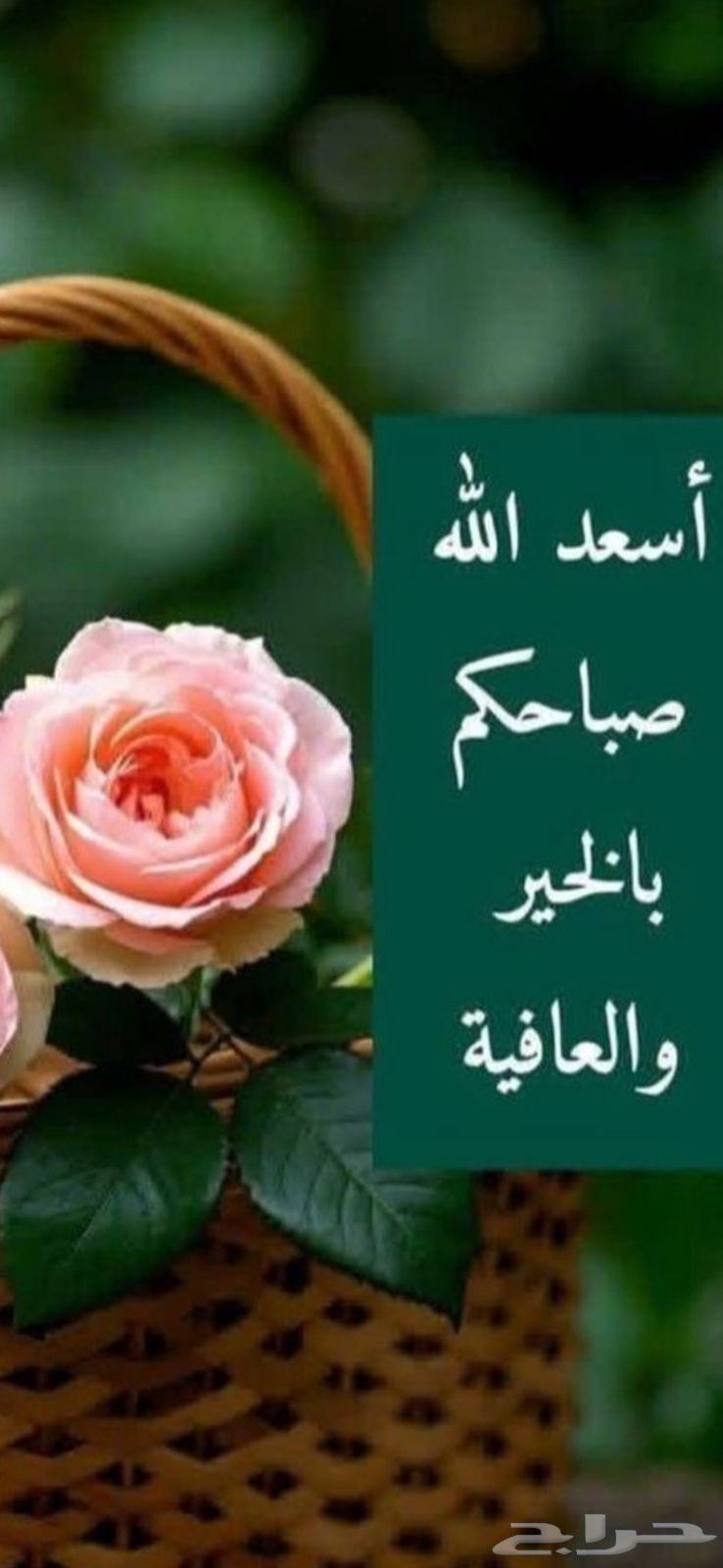 اريد غرفه سايق للايجار حي المصيف او حي الملك فهد64370096389505110