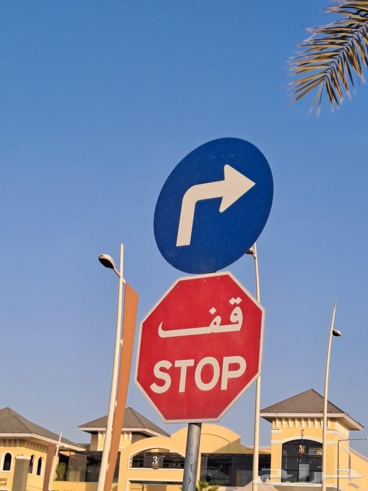 Professional and skilled driving instructor providing comprehensive training for all stages64370263398915110